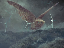 Rule 34 | animal, animal focus, bird, fantasy, forest, glowing, glowing eyes, nature, no humans, original, outdoors, oversized animal, owl, scenery, toy(e), tree, wind turbine, windmill