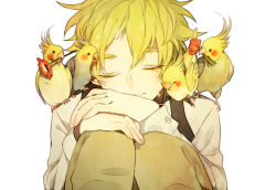 Rule 34 | 1boy, animal, animal focus, animal on shoulder, beige pants, bird, bird on shoulder, blonde hair, closed eyes, cockatiel, commentary request, flower, hands on own knees, long sleeves, mouth hold, newo (shinra-p), original, pet, sad, shirt, short hair, solo, tearing up, tears, white shirt