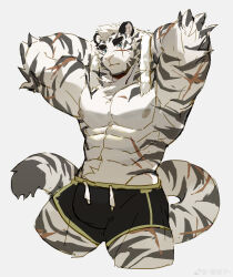 Rule 34 | 1boy, abs, absurdres, animal ears, arknights, arms behind head, bara, black shorts, bulge, cropped legs, facial hair, furry, furry male, goatee, highres, kitai su, large pectorals, looking at viewer, male focus, mountain (arknights), muscular, muscular male, nipples, pectorals, scar, scar across eye, scar on arm, short hair, shorts, solo, stomach, thick eyebrows, thick thighs, thighs, tiger boy, tiger ears, topless male, towel, towel around neck, white background, white hair