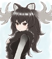 Rule 34 | 10s, 1girl, :/, adjusting scarf, animal ears, antlers, blue background, blush, brown eyes, brown hair, brown scarf, brown vest, commentary, expressionless, eyebrows, fingernails, from side, gradient clothes, hair between eyes, horns, inumoto, kemono friends, long hair, long sleeves, looking at viewer, moose (kemono friends), moose ears, multicolored background, scarf, shirt, simple background, sleeveless, solo, tsurime, two-tone background, upper body, vest, white background