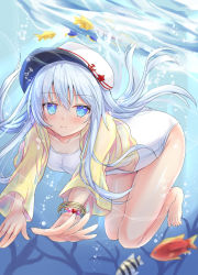 Rule 34 | 1girl, blue eyes, blush, breasts, closed mouth, fish, hair between eyes, hat, hibiki (kancolle), kantai collection, looking at viewer, nagare yoshimi, one-piece swimsuit, peaked cap, sailor hat, school swimsuit, silver hair, small breasts, smile, solo, swimsuit, thighs, underwater, verniy (kancolle), white school swimsuit, white one-piece swimsuit