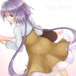 Rule 34 | 1girl, back, character name, dress, flower, hair flower, hair ornament, light purple hair, long hair, long sleeves, looking back, low twintails, monrooru, purple eyes, see-through, solo, strapless, strapless dress, touhou, tsukumo benben, twintails, very long hair