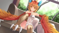 Rule 34 | 1girl, artist request, bare shoulders, bima (monster musume), bird legs, blue feathers, blush, breasts, couch, feather hair, feathers, game cg, gradient hair, gradient wings, harpy, looking at viewer, medium breasts, monster girl, monster musume no iru nichijou, monster musume no iru nichijou online, multicolored hair, multicolored wings, naked towel, official art, orange feathers, orange hair, pillow, red feathers, red hair, short hair, sitting, smile, solo, talons, towel, window, wings, yellow eyes