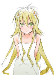 Rule 34 | 1girl, aged up, arms behind back, bare shoulders, blonde hair, breasts, cleavage, collarbone, cowboy shot, daisy, dress, flower, gokurakuin sakurako, green eyes, hair flower, hair ornament, kusano, leaning forward, long hair, looking at viewer, messy hair, official art, sekirei, simple background, sketch, sleeveless, sleeveless dress, small breasts, solo, sundress, very long hair, white background