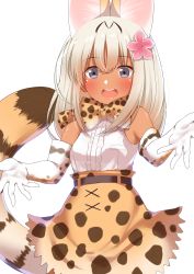 Rule 34 | 10s, 1girl, absurdres, alternate costume, animal ears, bare shoulders, blonde hair, blue eyes, blush, bow, bowtie, breasts, cat ears, cat tail, cosplay, elbow gloves, flower, gloves, go-1, hair flower, hair ornament, highres, kantai collection, kemono friends, long hair, looking at viewer, open mouth, ro-500 (kancolle), serval (kemono friends), serval (kemono friends) (cosplay), serval print, serval tail, short hair, simple background, skirt, sleeveless, small breasts, solo, tail, tan, teeth, white background