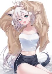 Rule 34 | 1girl, ahoge, alternate costume, animal ear fluff, animal ears, arms up, black shorts, blush, braid, brown cardigan, cardigan, collarbone, commentary request, crop top, fox ears, fox girl, fox tail, green eyes, hair between eyes, highres, hololive, long hair, looking at viewer, midriff, navel, open cardigan, open clothes, open mouth, paraffin, pentagram, shirakami fubuki, shirt, shorts, sidelocks, simple background, single braid, sitting, solo, spaghetti strap, tail, virtual youtuber, white background, white hair, white shirt