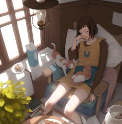 Rule 34 | 1girl, blanket, blush, bob cut, book, bread, brown hair, cat, chair, commentary, desk, dress, drooling, food, from above, hand on own cheek, hand on own face, indoors, lamp, light, lips, milk carton, mujiha, original, plant, plate, short hair, sitting, sleeping, slippers, solo, window, windowsill