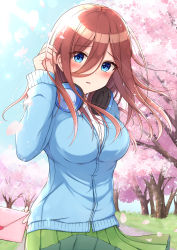 Rule 34 | 1girl, absurdres, blue cardigan, blue eyes, blush, breasts, brown hair, cardigan, collared shirt, commentary request, dress shirt, envelope, flower, go-toubun no hanayome, green skirt, hair between eyes, hand up, headphones, headphones around neck, heart, highres, holding, holding envelope, large breasts, letter, long hair, long sleeves, love letter, nakano miku, parted lips, petals, pink flower, pleated skirt, shirt, skirt, sleeves past wrists, solo, spring (season), tree, white shirt, yukiunag1