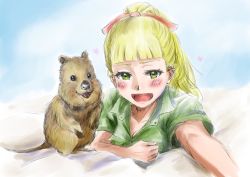 Rule 34 | animal, blonde hair, blunt bangs, blush, breasts, cleavage, collarbone, dyer san love, girls und panzer, green eyes, hair ribbon, heart, long hair, lying, on bed, on stomach, open mouth, ponytail, quokka, ribbon, short sleeves, smile, wallaby (girls und panzer)