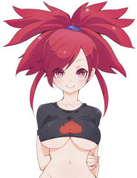 Rule 34 | &gt;:), 00s, 1girl, adapted costume, blush, breasts, chorimokki, covered erect nipples, creatures (company), crop top, flannery (pokemon), game freak, gym leader, large breasts, long hair, navel, nintendo, pokemon, pokemon rse, ponytail, red eyes, red hair, smile, solo, underboob, v-shaped eyebrows