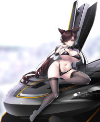 Rule 34 | 1girl, absurdres, animal ears, atago (azur lane), atago (stunning speedster) (azur lane), azur lane, bikini, black bikini, black hair, breasts, brown eyes, car, dog ears, extra ears, grey thighhighs, highleg, highleg bikini, highres, koflif, large breasts, long hair, looking at viewer, mole, mole under eye, motor vehicle, official alternate costume, race queen, ribbon, shrug (clothing), sitting, sleeve cuffs, solo, swept bangs, swimsuit, thighhighs, tongue, tongue out, two-tone bikini, white ribbon, wrist cuffs
