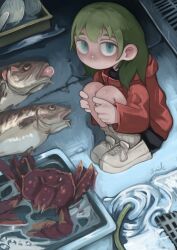 Rule 34 | 1girl, absurdres, blonde hair, blue eyes, child, crab, drain (object), fish, hands on own knees, highres, hose, jacket, lalah 7th, looking at viewer, original, shoes, shorts, sneakers, socks, water