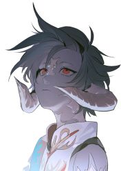 Rule 34 | 1boy, au ra, black hair, collared shirt, commentary, dragon horns, expressionless, feishui chizi, final fantasy, final fantasy xiv, from side, high collar, highres, horns, looking up, male focus, portrait, red eyes, scales, shirt, short hair, simple background, solo, symbol-only commentary, varshahn, white background, white shirt