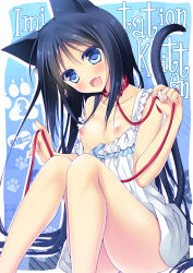 Rule 34 | 1girl, :d, animal ears, bare legs, blue eyes, blue hair, blush, breasts, cat ears, cat tail, collar, collarbone, dress, fang, head tilt, leash, long hair, matching hair/eyes, motomiya mitsuki, nipples, open mouth, original, sitting, small breasts, smile, solo, sundress, tail, very long hair