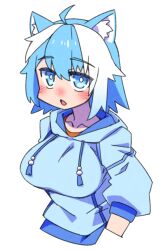 Rule 34 | 1girl, ahoge, animal ears, blue eyes, blue hair, blue hoodie, breasts, cannsk, cat ears, commentary, cropped arms, cropped torso, hashtag-only commentary, hood, hoodie, indie virtual youtuber, large breasts, multicolored hair, open mouth, solo, tsuraragi toa, two-tone hair, virtual youtuber, white hair