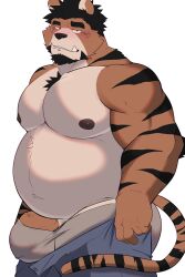 Rule 34 | 1boy, animal ears, artist request, ass, bara, belly, black hair, blush, bulge, bulge lift, chest tuft, denim, dressing, facial hair, fat, fat man, feet out of frame, from side, furry, furry male, goatee, grey male underwear, highres, i&#039;ve never seen a guy recreate this successfully tbh (meme), jeans, large areolae, large pectorals, looking at viewer, male focus, male underwear, meme, muscular, muscular male, nipples, open pants, original, pants, pants lift, pectorals, penis, penis peek, short hair, solo, stomach, thick eyebrows, tiger boy, tiger ears, topless male, undersized clothes, underwear