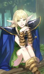 Rule 34 | 1girl, :d, armor, banababa, blonde hair, blue cape, brown sleeves, cape, circlet, day, deedlit, detached sleeves, dress, elf, forest, green dress, green eyes, highres, long hair, looking at viewer, nature, open mouth, outdoors, pointy ears, record of lodoss war, short dress, shoulder armor, sitting, smile, solo, sword, weapon