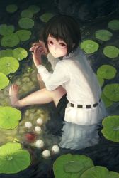 Rule 34 | 1girl, bare legs, barefoot, black hair, black skirt, closed mouth, collared shirt, fjsmu, from above, hat, unworn hat, unworn headwear, highres, knees up, leaf, lily pad, long sleeves, looking at viewer, looking back, miniskirt, nature, outdoors, own hands together, partially submerged, pointy ears, pom pom (clothes), pond, red eyes, ripples, sanpaku, shameimaru aya, shirt, short hair, sidelocks, sitting, skirt, solo, tokin hat, touhou, water, white shirt