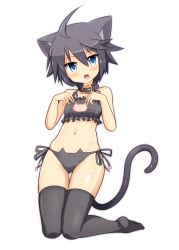 Rule 34 | 1girl, 1up (solid2), ahoge, animal ears, black panties, black thighhighs, blue eyes, blush, cat cutout, cat ear panties, cat ears, cat lingerie, cat tail, cleavage cutout, clothing cutout, collar, flat chest, highres, looking at viewer, meme attire, navel, open mouth, original, panties, side-tie panties, simple background, solo, tail, thighhighs, underwear, white background