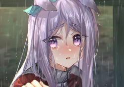 Rule 34 | 1girl, animal ears, aqua ribbon, blurry, blurry background, blush, bow, crying, crying with eyes open, depth of field, ear ribbon, ears down, hair between eyes, hand up, horse ears, jacket, long hair, looking at viewer, mejiro mcqueen (umamusume), nose blush, ouri (aya pine), parted lips, purple eyes, purple hair, rain, red jacket, resolution mismatch, ribbon, solo, source larger, swept bangs, tears, track jacket, umamusume, upper body, wet, wet hair