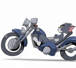 Rule 34 | 1other, akira (manga), animal, cat, crossover, gyosone, highres, looking to the side, motor vehicle, motorcycle, on motorcycle, parody, profile, simple background, tom (tom and jerry), tom and jerry, white background