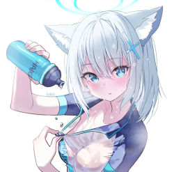 Rule 34 | 1girl, animal ear fluff, animal ears, bike jersey, blue archive, blue eyes, blush, bottle, breasts, collarbone, covered erect nipples, cross hair ornament, cycling uniform, earrings, extra ears, goyain, grey hair, hair ornament, halo, holding, holding bottle, jewelry, looking at viewer, medium hair, mismatched pupils, multicolored clothes, multicolored shirt, no bra, open mouth, see-through, shiroko (blue archive), shiroko (cycling) (blue archive), shirt, short sleeves, solo, water, water bottle, wet, wet clothes, wet shirt, white shirt, wolf ears