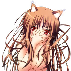 Rule 34 | 1girl, alternate breast size, animal ears, blush, breasts, brown hair, cleavage, hand on own face, highres, holo, long hair, ngirln4, nipples, nude, red eyes, slit pupils, solo, spice and wolf, wolf ears