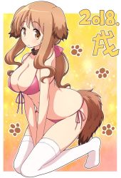 Rule 34 | 1girl, 2018, 3:, animal ears, between legs, bikini, blush, bow, breasts, brown eyes, brown hair, cleavage, closed mouth, collar, collarbone, commentary request, dog ears, dog girl, dog tail, full body, hair bow, hand between legs, highres, kemonomimi mode, large breasts, long hair, looking at viewer, low ponytail, matsumoto yoriko, mel (melty pot), navel, no shoes, paw print, paw print background, pink bikini, pink bow, seiza, side-tie bikini bottom, sidelocks, sitting, solo, string bikini, sweatdrop, swimsuit, tail, thick eyebrows, thighhighs, wavy mouth, white thighhighs, yellow background, yuyushiki