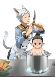 Rule 34 | 10s, 1boy, 1girl, animal ears, black hair, brown eyes, cat ears, cat tail, cooking, final fantasy, final fantasy xiv, green eyes, grey hair, highres, imdsound, in container, knife, lalafell, miqo&#039;te, nude, one eye closed, pointy ears, pot, short hair, tail