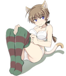 Rule 34 | 1girl, ahoge, animal ears, black ribbon, blonde hair, blue eyes, bra, braid, breasts, cat ears, cat tail, cleavage, dressing, large breasts, legs together, looking at viewer, lynette bishop, nanashino, panties, reclining, ribbon, shadow, single braid, smile, solo, strike witches, striped clothes, striped thighhighs, tail, thighhighs, underwear, white bra, white panties, world witches series