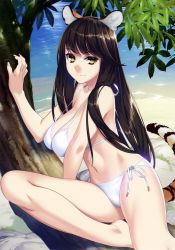 Rule 34 | 1girl, absurdres, animal ears, bare legs, barefoot, beach, bikini, breasts, brown eyes, brown hair, cleavage, closed mouth, collarbone, day, fingernails, highres, huge filesize, ino (magloid), large breasts, leaf, long fingernails, long hair, looking at viewer, navel, scan, side-tie bikini bottom, smile, solo, swimsuit, tail, tiger ears, tiger tail, toranoana, tree, water, white bikini