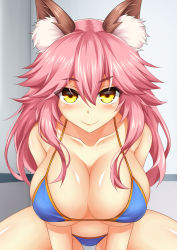 Rule 34 | 1girl, animal ear fluff, animal ears, artist request, bikini, blue bikini, blush, breasts, cleavage, collarbone, fate/grand order, fate (series), female focus, fox ears, fox girl, fox tail, highres, indoors, large breasts, looking at viewer, pink hair, side-tie bikini bottom, smile, solo, swimsuit, tail, tamamo (fate), tamamo no mae (fate/extra), tamamo no mae (swimsuit lancer) (fate), yellow eyes