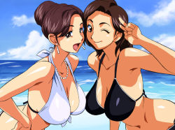 Rule 34 | 00s, 2girls, bare shoulders, beach, bent over, bikini, breasts, brown hair, cirima, cleavage, day, earrings, eyelashes, female focus, front-tie top, futari wa precure, hanging breasts, huge breasts, jewelry, large breasts, leaning forward, long hair, mature female, misumi rie, multiple girls, necklace, one eye closed, open mouth, outdoors, precure, smile, strap gap, swimsuit, v, volvox, wink, yukishiro aya