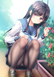 Rule 34 | 1girl, black footwear, black hair, black pantyhose, blue neckerchief, blue sailor collar, blue skirt, blush, breasts, closed mouth, day, food, full body, hand on own knee, highres, holding, holding food, loafers, long hair, long sleeves, looking at viewer, medium breasts, miniskirt, neckerchief, original, outdoors, panties, panties under pantyhose, pantyhose, pantyshot, pink eyes, plant, potted plant, sailor collar, school uniform, serafuku, shirt, shoes, sidelocks, skirt, smile, solo, squatting, tomato, underwear, upskirt, very long hair, white panties, white shirt, yuurei yashiki