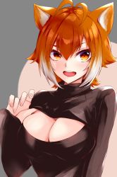 Rule 34 | absurdres, animal ears, antenna hair, black sweater, blazblue, breasts, brown hair, chukachuka, cleavage, cleavage cutout, clothing cutout, grey background, highres, large breasts, looking at viewer, makoto nanaya, meme attire, multicolored hair, open-chest sweater, orange eyes, short hair, simple background, squirrel ears, squirrel tail, sweater, tail, two-tone hair, upper body