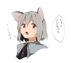 Rule 34 | 1girl, animal ears, bad id, bad twitter id, capelet, grey hair, hasebe yuusaku, jewelry, looking at viewer, mouse ears, nazrin, necklace, open mouth, red eyes, short hair, simple background, solo, speech bubble, sweatdrop, text focus, touhou, translation request, upper body, white background