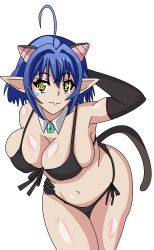 Rule 34 | 10s, 1girl, ahoge, animal ears, armpits, artist request, bikini, black bikini, blue hair, breasts, cat demon girl (shinmai maou no testament burst), cat ears, cat tail, cleavage, cowboy shot, curvy, detached collar, female focus, front-tie bikini top, front-tie top, gloves, hair between eyes, hair intakes, hand on own hip, highres, large breasts, looking at viewer, markings, navel, pointy ears, shinmai maou no testament, shiny skin, short hair, side-tie bikini bottom, skindentation, smile, solo, source request, standing, swimsuit, tail, thighs, transparent background, wide hips, yellow eyes