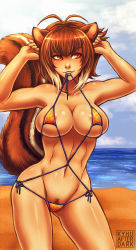 Rule 34 | 1girl, abs, animal ears, antenna hair, areola slip, beach, bikini, bikini in mouth, blazblue, breasts, cleavage, clothes in mouth, cloud, collarbone, contrapposto, day, facing viewer, female pubic hair, highres, horizon, iahfy, large breasts, looking away, looking to the side, makoto nanaya, micro bikini, mouth hold, ocean, outdoors, parted lips, pubic hair, pubic hair peek, shiny skin, side-tie bikini bottom, sideboob, skindentation, sky, slingshot swimsuit, solo, squirrel ears, squirrel tail, standing, swimsuit, tail, toned, untied