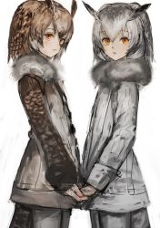 Rule 34 | 10s, 2girls, brown hair, buttons, coat, collar, commentary, cowboy shot, eurasian eagle owl (kemono friends), expressionless, eyelashes, from side, fur collar, gradient hair, grey hair, hair between eyes, head wings, holding hands, kemono friends, lips, long sleeves, looking at viewer, multicolored hair, multiple girls, northern white-faced owl (kemono friends), nostrils, orange eyes, pantyhose, parted lips, ryuukeichi andromeda, sanpaku, simple background, sketch, tail, two-tone hair, white background, white hair, wings