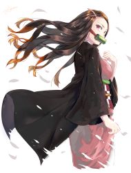 Rule 34 | 1girl, absurdres, bad id, bad pixiv id, bamboo, bit gag, black hair, black jacket, clenched hand, commentary request, fingernails, floating hair, forehead, gag, gradient hair, hand up, highres, jacket, japanese clothes, kamado nezuko, kimetsu no yaiba, kimono, korean commentary, long hair, looking at viewer, looking to the side, multicolored hair, obi, ooyun, orange hair, pink kimono, pink ribbon, ribbon, sash, sharp fingernails, simple background, solo, two-tone hair, very long hair, white background, wide sleeves, wind