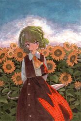 Rule 34 | 1girl, arms behind back, ascot, brown eyes, field, flower, flower field, green eyes, highres, holding, holding umbrella, jacket, kazami yuuka, long skirt, looking to the side, red jacket, red skirt, shiratama (hockey), shirt, skirt, solo, sunflower, sunflower field, touhou, umbrella, white shirt, yellow ascot