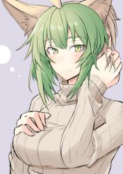 Rule 34 | 1girl, adjusting hair, ahoge, alternate hair length, alternate hairstyle, animal ears, atalanta (fate), breasts, cat ears, closed mouth, commentary request, fate/apocrypha, fate (series), gradient hair, green eyes, green hair, hair between eyes, light smile, medium breasts, multicolored hair, nahu, ribbed sweater, short hair, sketch, smile, solo, sweater, turtleneck, turtleneck sweater, upper body