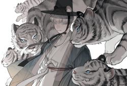 Rule 34 | 1boy, animal, animal ears, animal focus, artist request, black headwear, blue eyes, chinese commentary, commentary request, highres, looking at viewer, male focus, original, solo focus, tiger, white tiger