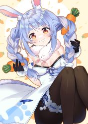 Rule 34 | 1girl, animal ear fluff, animal ears, black gloves, blue hair, blush, braid, breasts, bridal garter, brown pantyhose, commentary, don-chan (usada pekora), dress, food-themed hair ornament, fur scarf, gloves, grin, hair ornament, highres, holding, holding hair, hololive, knees together feet apart, konatsu hare, long hair, looking at viewer, medium breasts, multicolored hair, pantyhose, rabbit ears, rabbit girl, red eyes, scarf, short eyebrows, smile, solo, symbol-only commentary, thick eyebrows, twin braids, twintails, two-tone hair, usada pekora, usada pekora (1st costume), virtual youtuber, white dress, white hair, white scarf