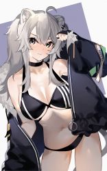Rule 34 | 1girl, 3:, ahoge, animal ears, arm up, bare shoulders, bikini, black bikini, breasts, choker, cleavage, closed mouth, contrapposto, cowboy shot, grey eyes, grey hair, highres, hololive, jacket, jewelry, large breasts, lion ears, long hair, looking at viewer, mania (fd6060 60), navel, off shoulder, open clothes, open jacket, outside border, shishiro botan, sidelocks, simple background, solo, swimsuit, symbol-only commentary, tail, virtual youtuber