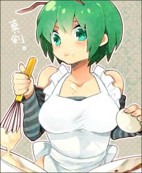 Rule 34 | 1girl, apron, bare shoulders, blush, bowl, breasts, cream, cream on face, egg, food, food on face, green eyes, green hair, matching hair/eyes, medium breasts, ponpoko, short hair, solo, touhou, upper body, wriggle nightbug