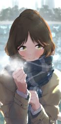 Rule 34 | 1girl, absurdres, bad id, bad pixiv id, blurry, blurry background, blush, bokeh, breath, brown hair, clenched hands, depth of field, highres, idolmaster, idolmaster cinderella girls, light smile, looking at viewer, outdoors, plaid, plaid scarf, sanpo (sanpo 1027), scarf, solo, takamori aiko, upper body