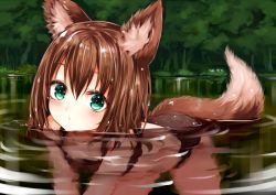 Rule 34 | 1girl, all fours, animal ears, bikini, black bikini, blush, brown hair, commentary request, day, forest, fox ears, fox girl, fox tail, green eyes, hair between eyes, highres, looking at viewer, nature, original, outdoors, partially submerged, short hair, solo, sukemyon, swimsuit, tail, tree, water, wet, wet hair