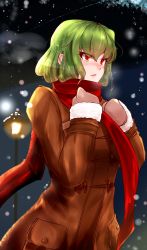 Rule 34 | 1girl, absurdres, alternate costume, blush, breath, brown gloves, brown jacket, fur trim, gloves, green hair, highres, itocoh, jacket, kazami yuuka, lamppost, long sleeves, looking away, nose blush, parted lips, red eyes, red scarf, scarf, short hair, snowing, solo, touhou, upper body
