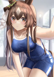 Rule 34 | 1girl, absurdres, aimi (tikichin0229), animal ears, blue school swimsuit, blurry, blurry background, blush, bow, breasts, brown eyes, brown hair, competition swimsuit, covered navel, ear ornament, ear ribbon, eyelashes, hair between eyes, half updo, highres, horse ears, horse girl, horse tail, looking at viewer, medium breasts, multicolored hair, nontraditional school swimsuit, one-piece swimsuit, reaching, reaching towards viewer, satono diamond (umamusume), school swimsuit, selfie, solo, swimsuit, tail, tracen swimsuit, umamusume, white hair